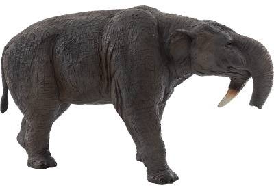 Deinotherium