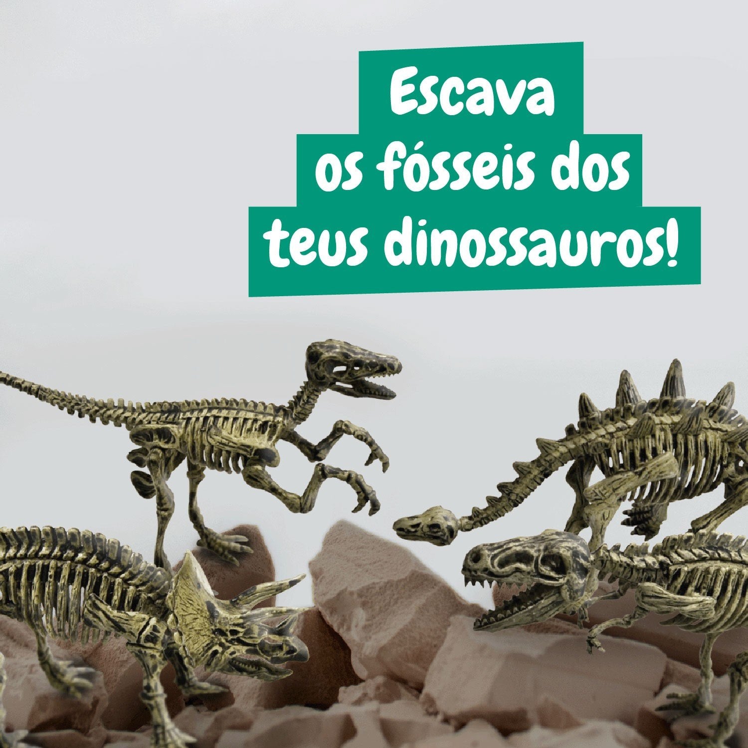Escavações Fósseis Dinossauros 4 em 1