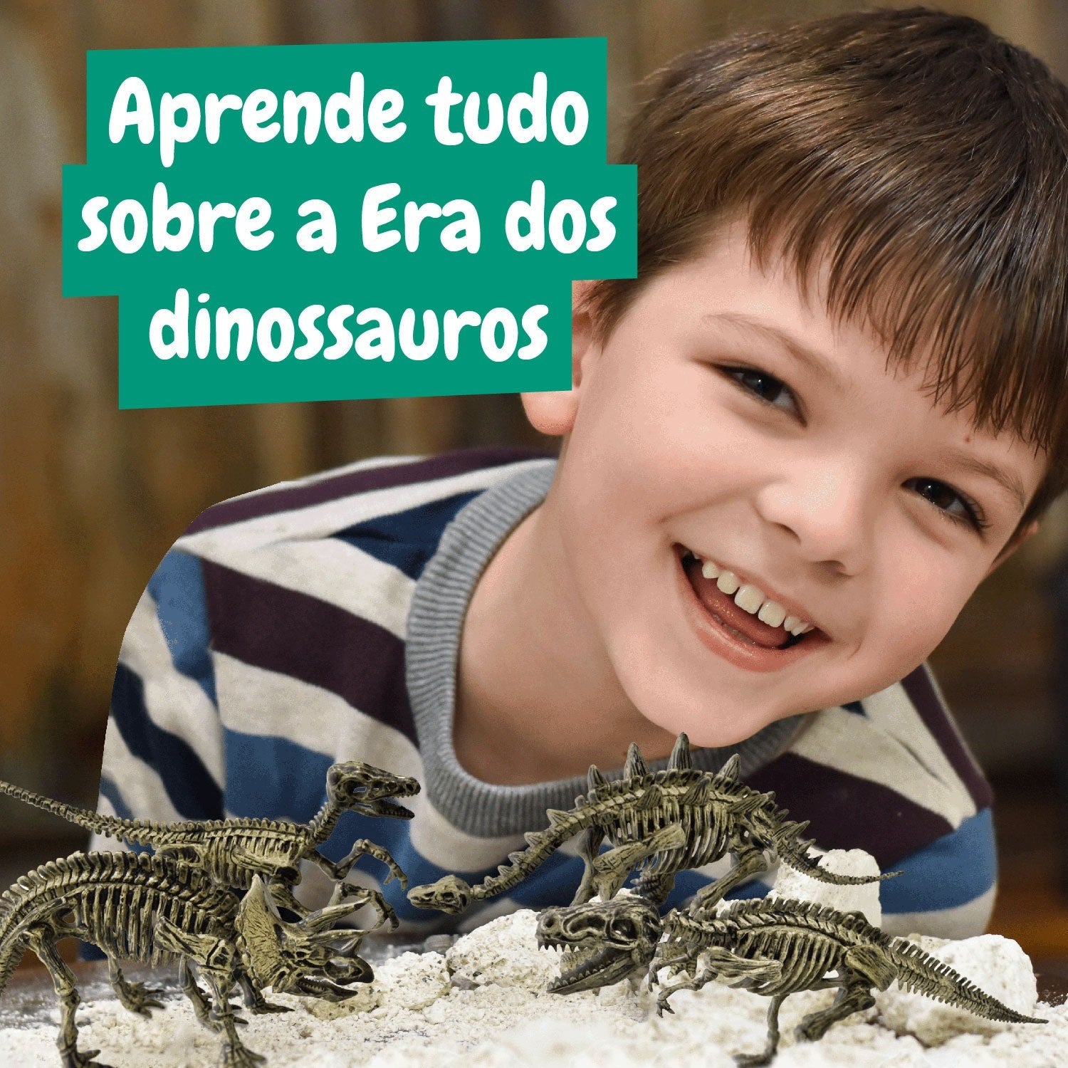 Escavações Fósseis Dinossauros 4 em 1