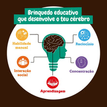 Escavações Fósseis Dinossauros 4 em 1