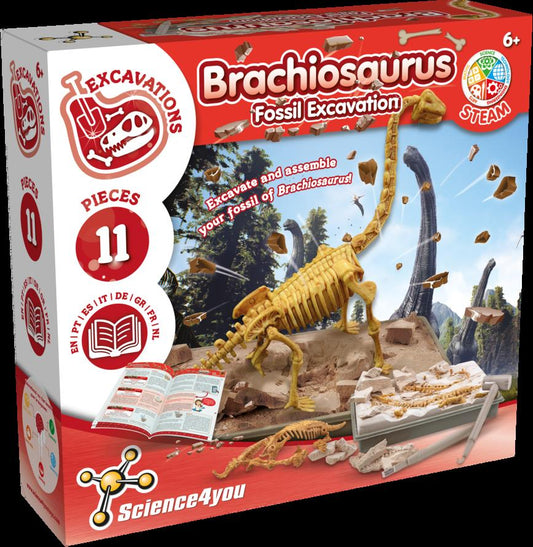 Fossil Excavation  - Brachiosaurus