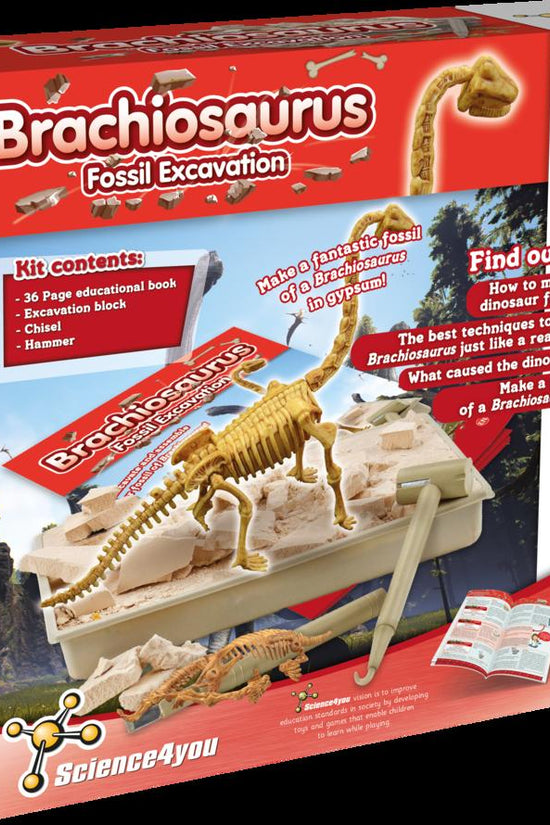 Fossil Excavation  - Brachiosaurus