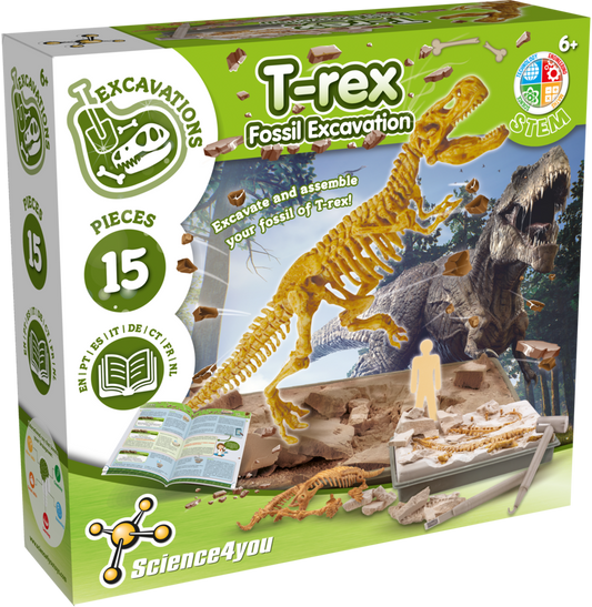 T-Rex - Fossil Excavation