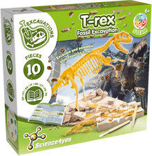 Escavações Fósseis - T-Rex