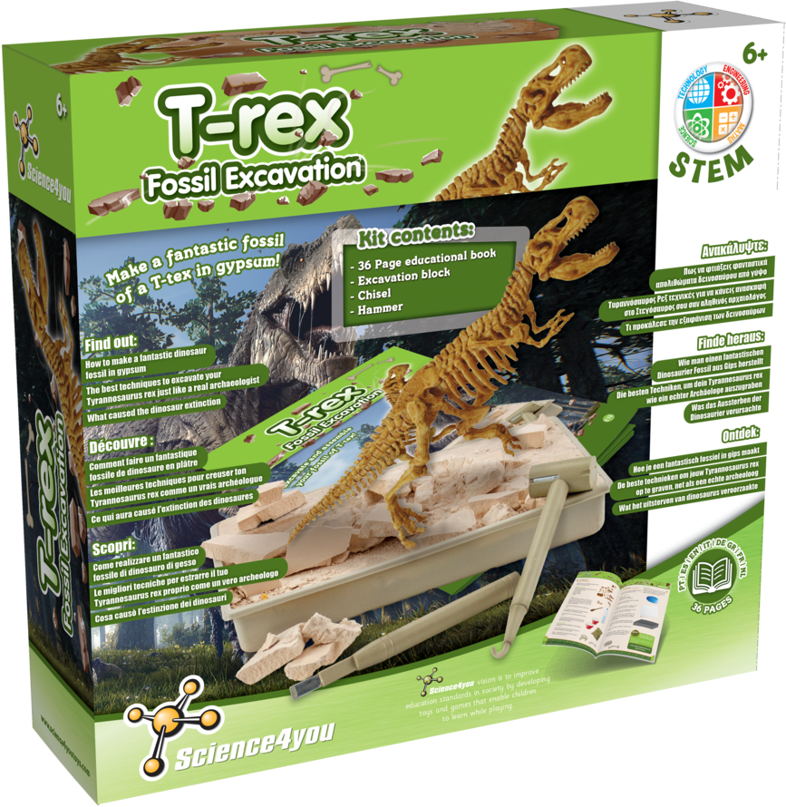 Escavações Fósseis - T-Rex