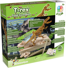 Escavações Fósseis - T-Rex
