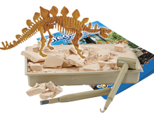 Stegosaurus - Fossil Excavation