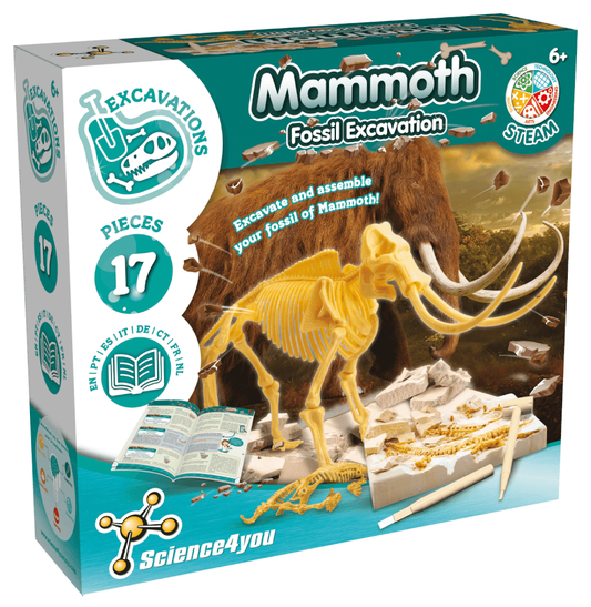 Fossil Diggings - Mammoth
