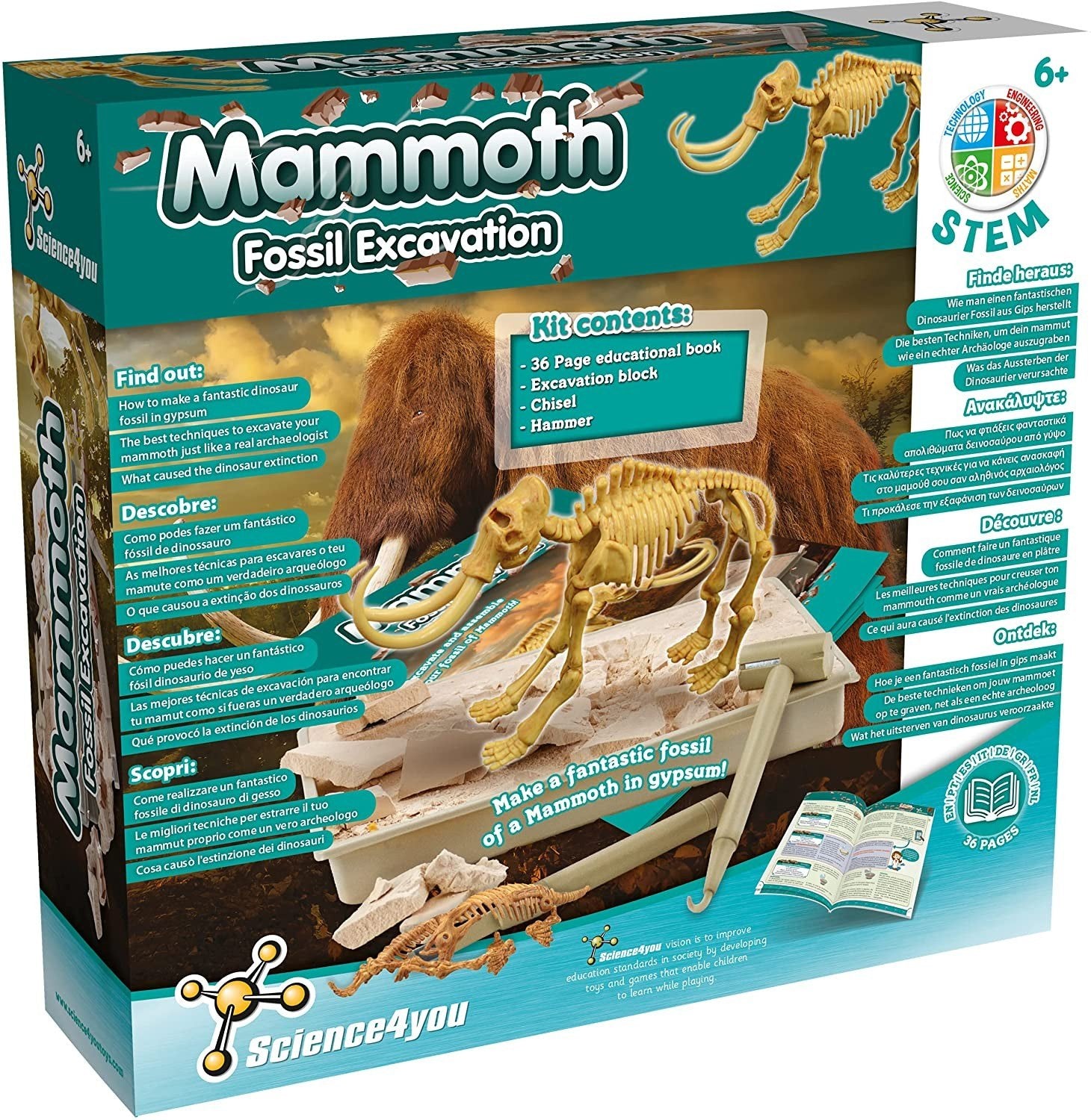 Escavações Fósseis - Mamute