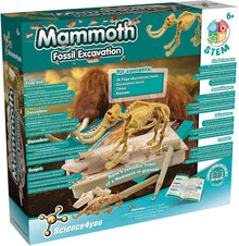 Escavações Fósseis - Mamute