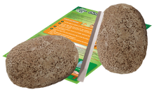 Starter Kit Dino Eggs Surpresa