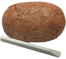 Starter Kit Dino Eggs Surpresa