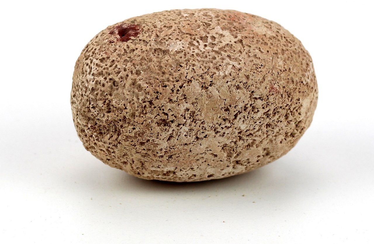 Starter Kit Dino Eggs Surpresa