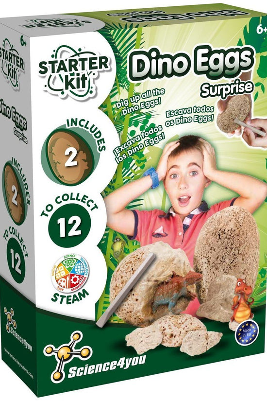 Starter Kit Dino Eggs