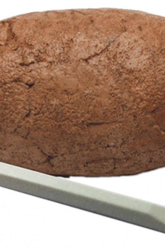 Starter Kit Dino Eggs