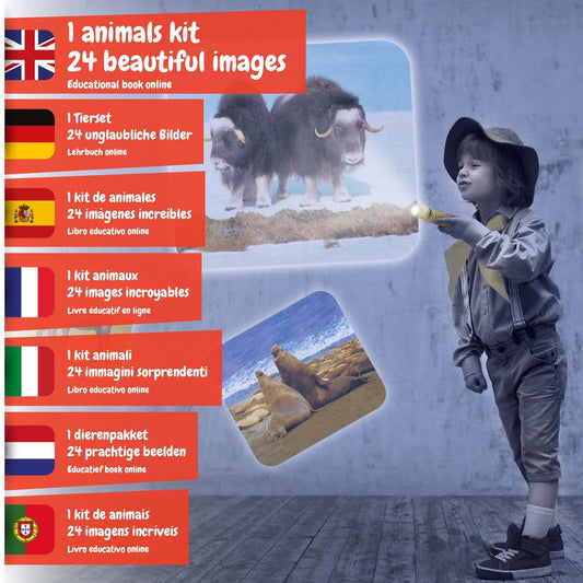Projetor Lanterna de Animais
