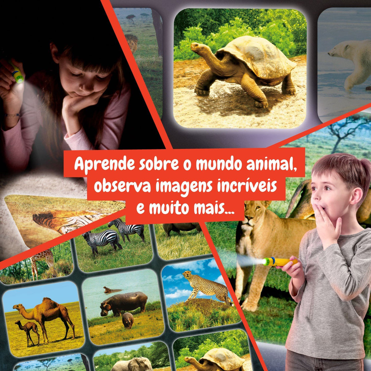 Lanterna Projetor de Animais