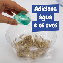 Artémias - Criaturas Aquáticas