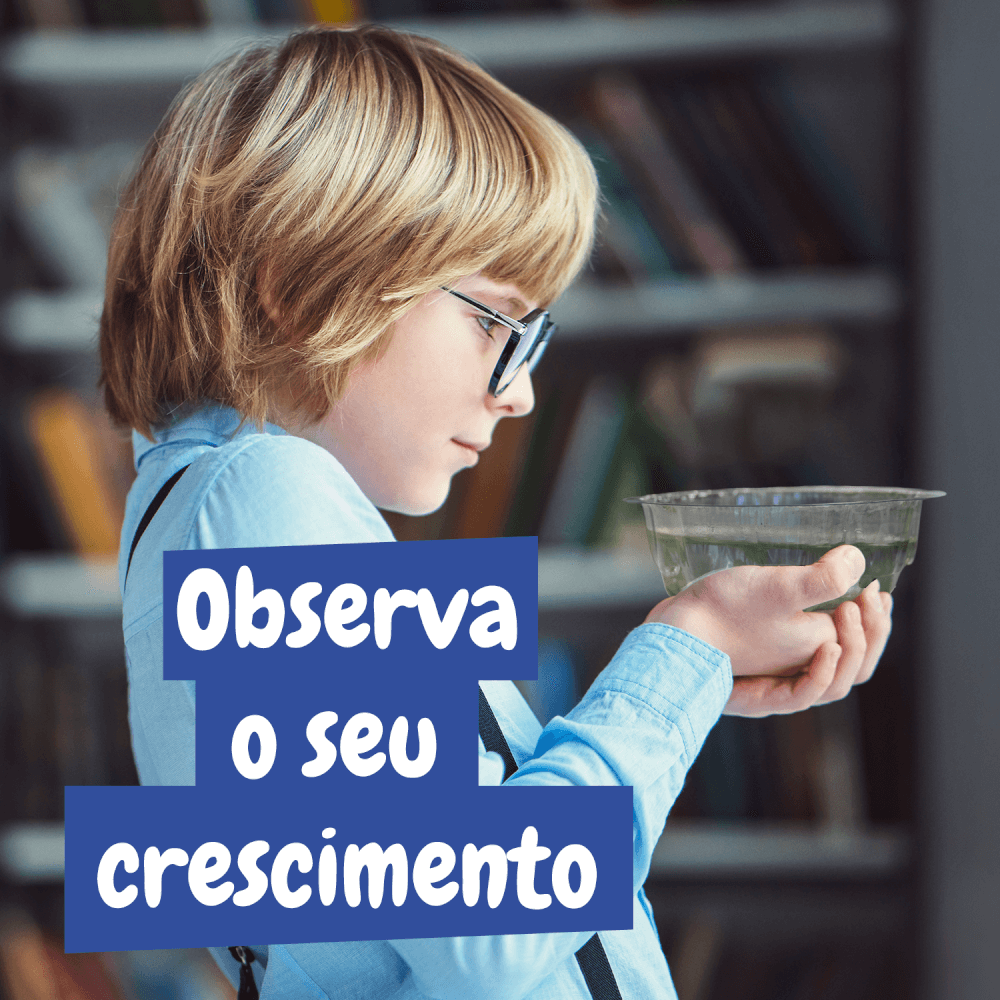 Artémias - Criaturas Aquáticas