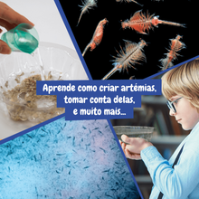 Artémias - Criaturas Aquáticas