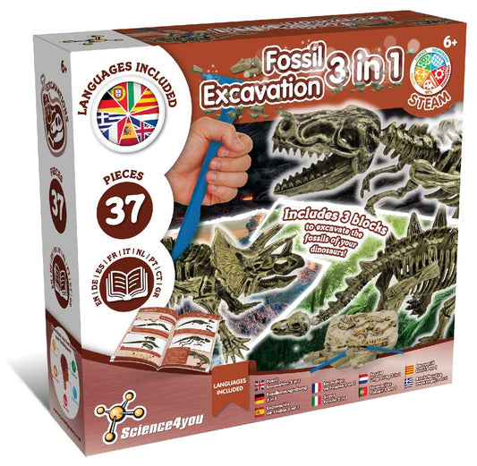 Fossil Excavation 3 in 1