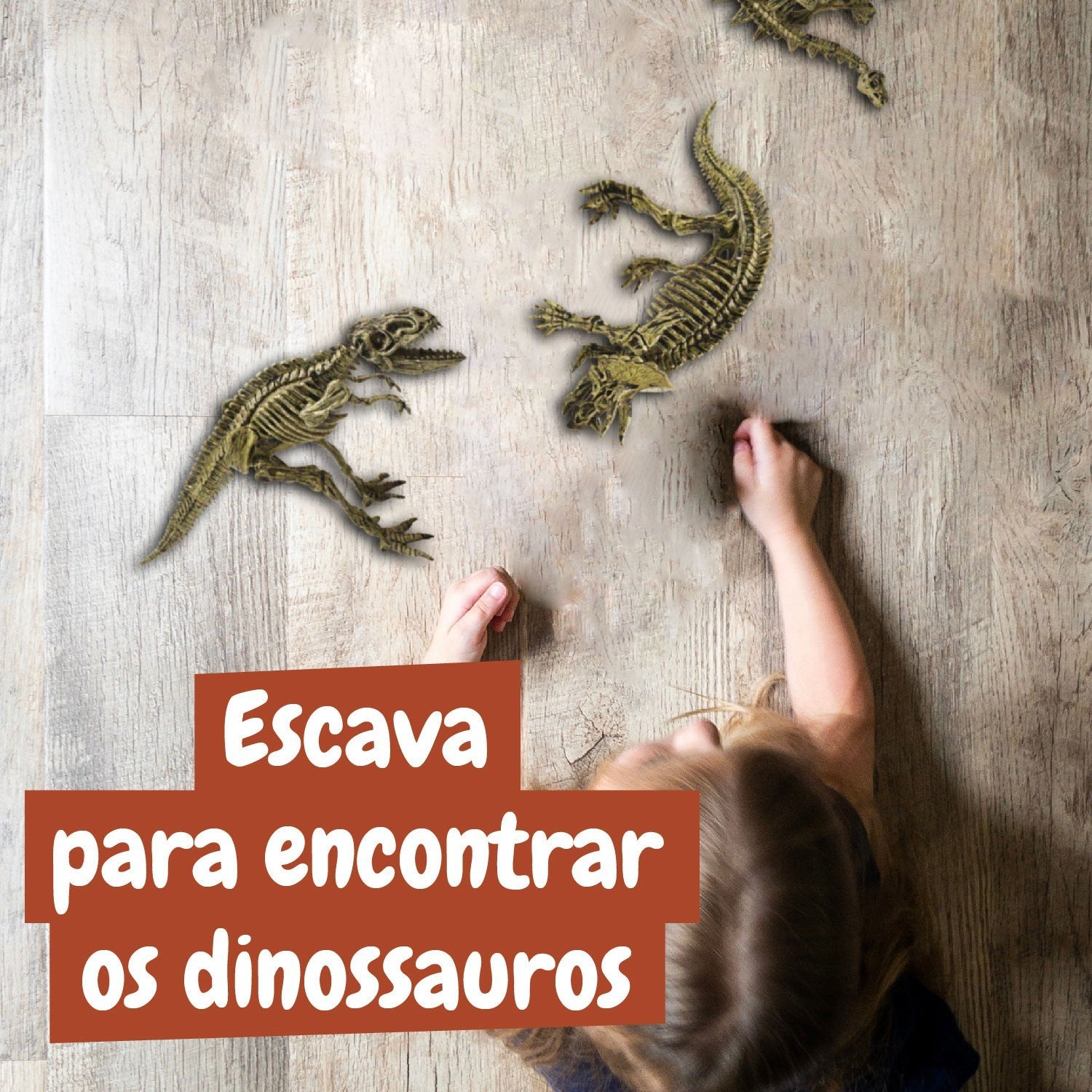 Escavações Fósseis Dinossauros 3 em 1