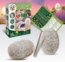 Dino Eggs Surprise - Multi