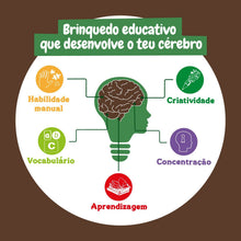 Terrário de Dinossauros - Brilha no Escuro