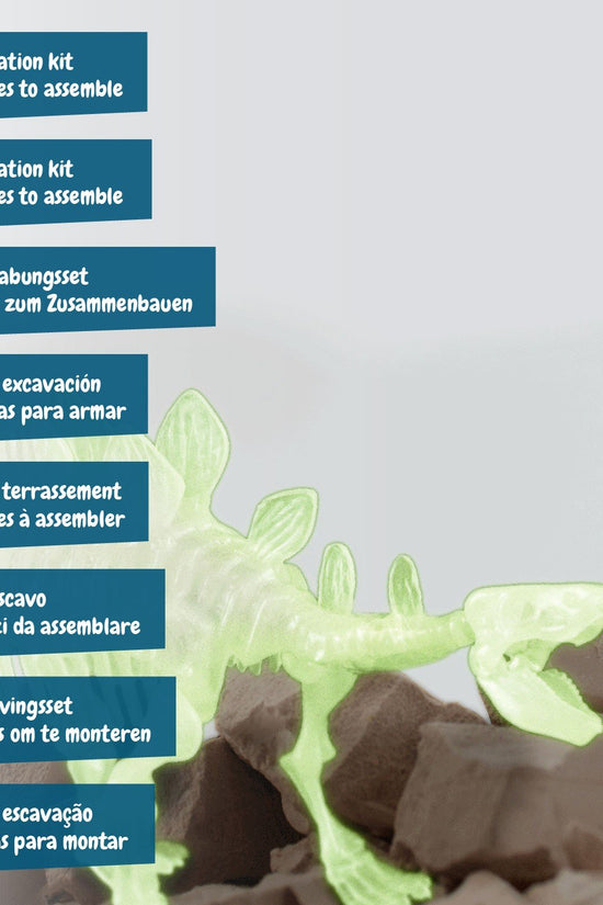 Fossil Excavations Glow in the Dark - Stegosaurus