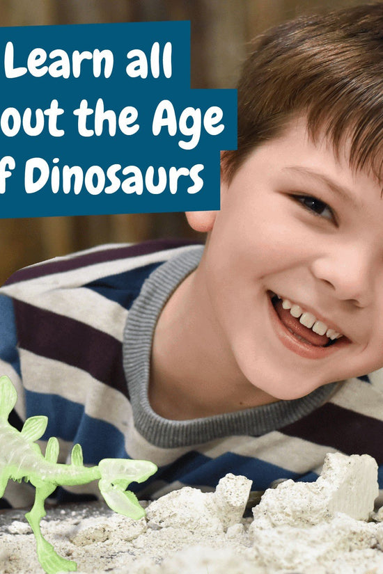 Fossil Excavations Glow in the Dark - Stegosaurus