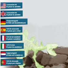 Escavações Fósseis Brilha no Escuro - Stegosauros