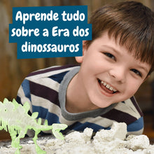 Escavações Fósseis Brilha no Escuro - Stegosauros