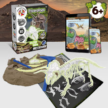 Escavações Fósseis Brilha no Escuro - Triceratops