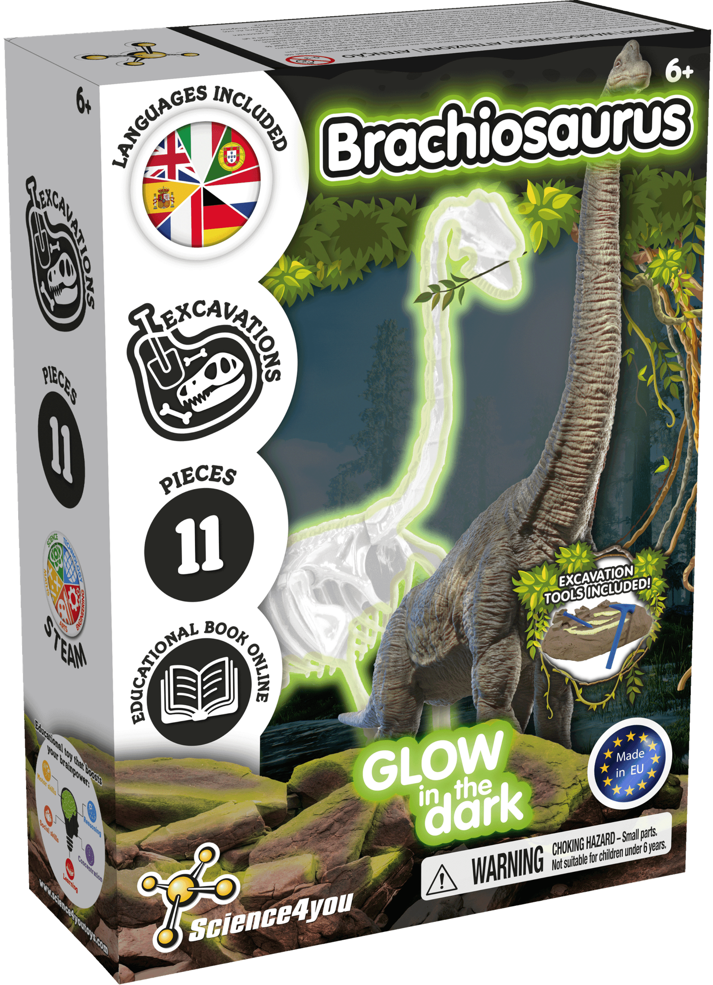 Escavações Fósseis Brilha no Escuro - Brachiosaurus