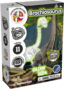 Escavações Fósseis Brilha no Escuro - Brachiosaurus