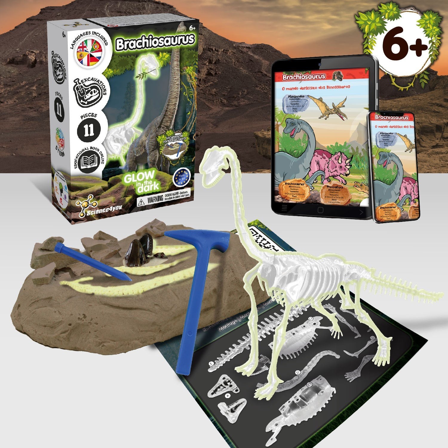 Escavações Fósseis Brilha no Escuro - Brachiosaurus
