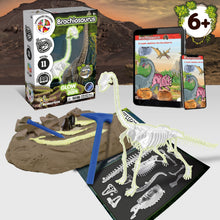 Escavações Fósseis Brilha no Escuro - Brachiosaurus