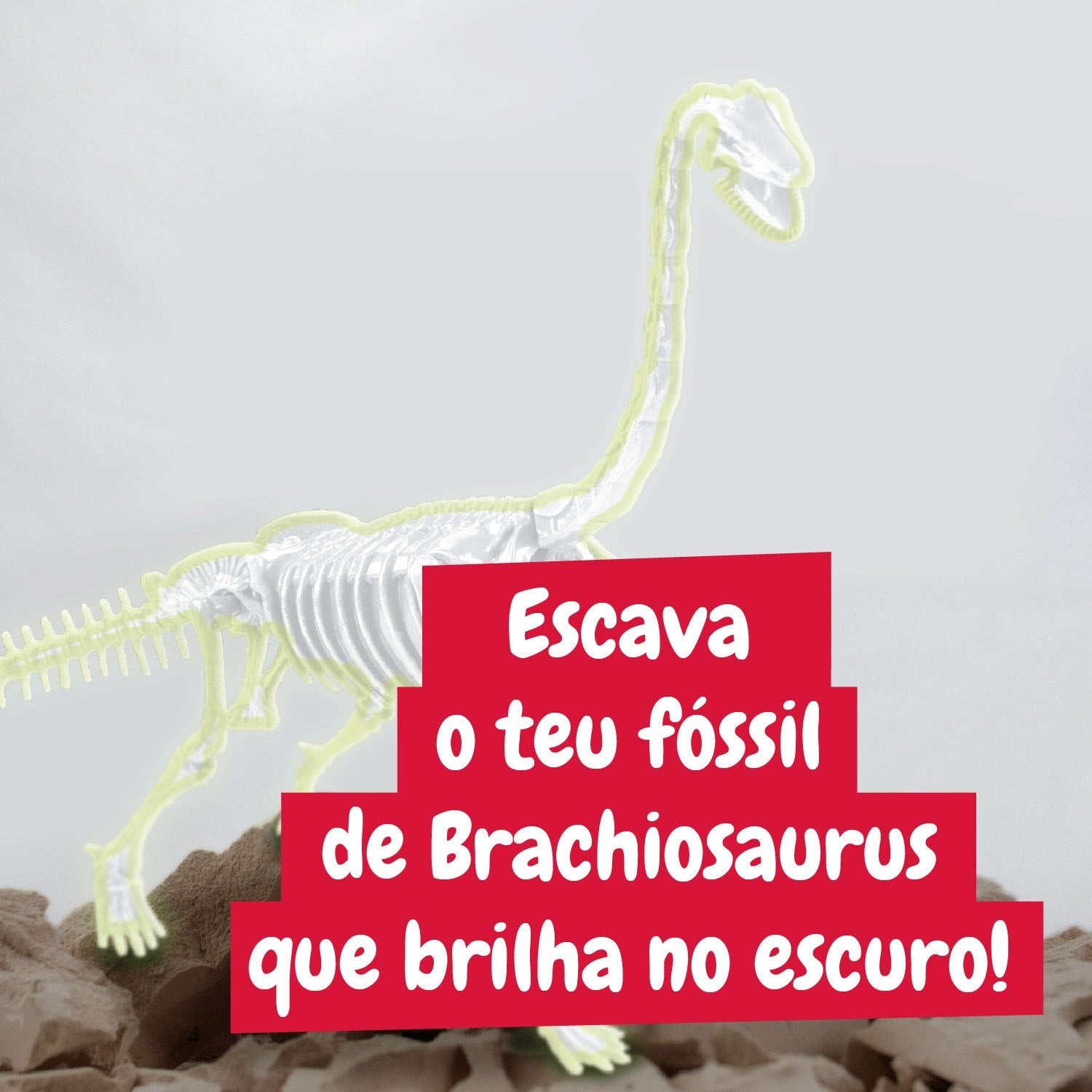 Escavações Fósseis Brilha no Escuro - Brachiosaurus