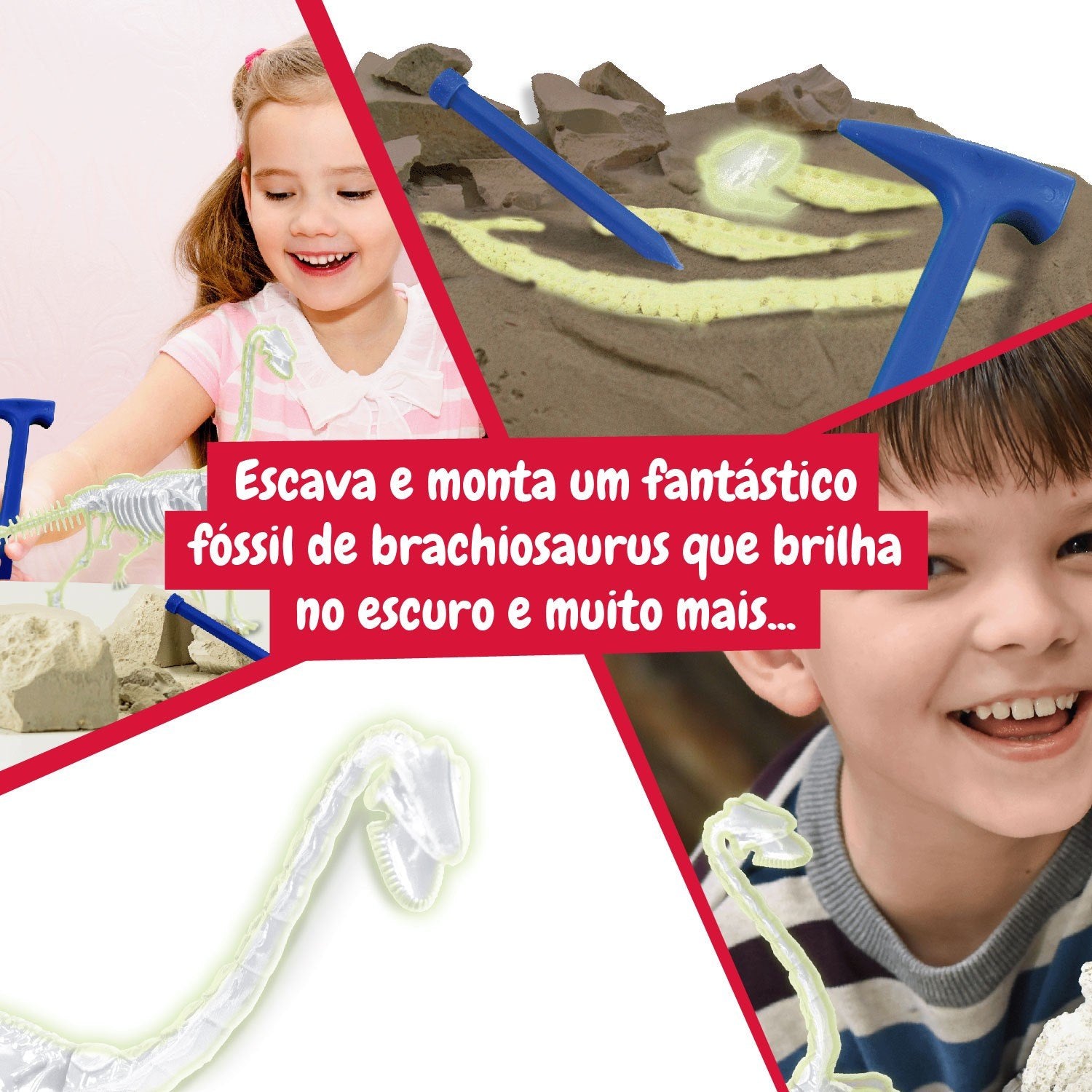 Escavações Fósseis Brilha no Escuro - Brachiosaurus