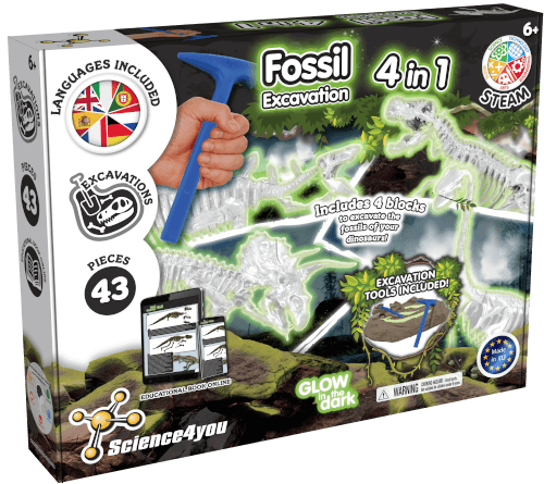 4-in-1 Fossil Excavations - Glow in the Dark