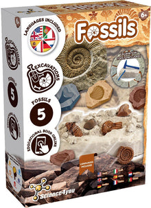 Fossil Excavation - Multilingual Version