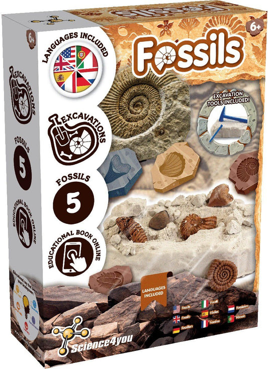 Fossil Excavation - Multilingual Version