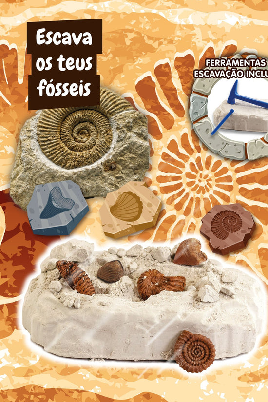 Fossil Excavation - Multilingual Version