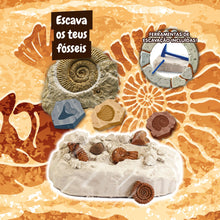 Fossil Excavation - Multilingual Version