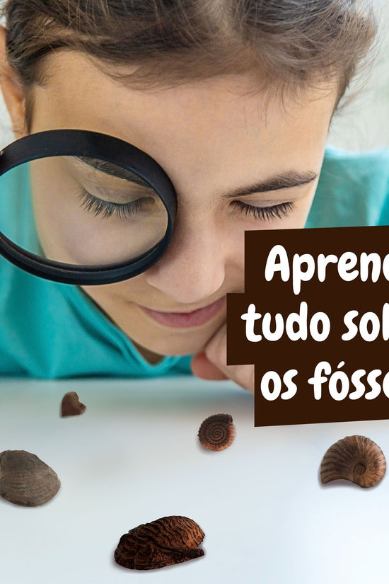 Fossil Excavation - Multilingual Version