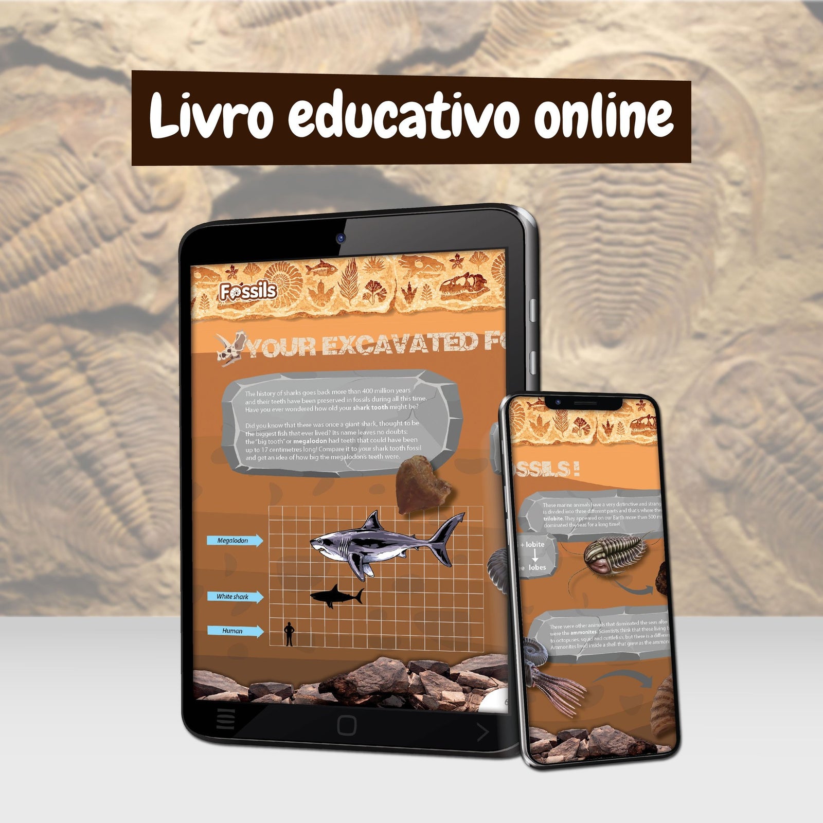 Fossil Excavation - Multilingual Version