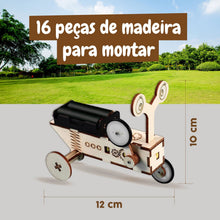 Réptil Robot de Madeira