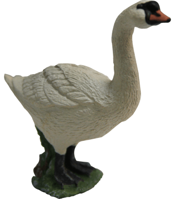 Cisne