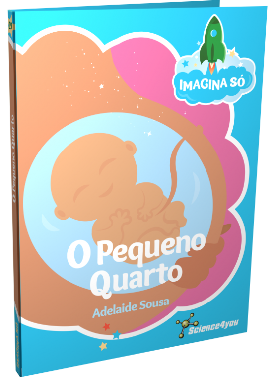 Imagina Só Book - The Little Room